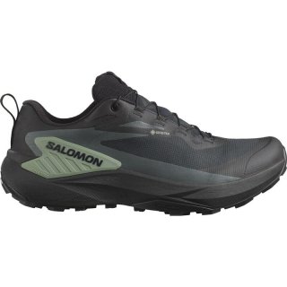 Neu Eingetroffen Salomon Herren Trailrunningschuhe SHOES GENESIS GTX - Schwarz/Agavengrün/Urban Chic