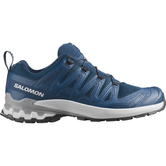 Neu Eingetroffen Salomon Herren Trailrunningschuhe SHOES XA PRO 3D V9 - Poseidon/Eiszapfen/Legierung