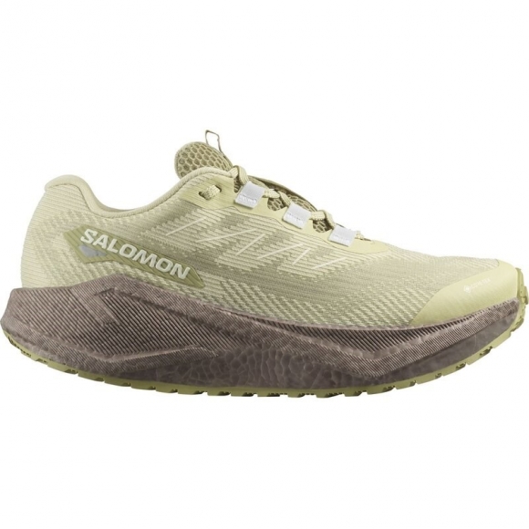 Neu Eingetroffen Salomon Damen Laufschuhe SHOES AERO BLAZE 3 GRVL GTX W - Grüner Nebel/Eisen/Eisfluss