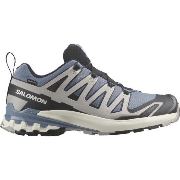 Neu Eingetroffen Salomon Herren Trailrunningschuhe SHOES XA PRO 3D V9 GTX - Feuerstein/Schwarz/Geistergrau