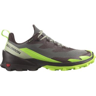 Neu Eingetroffen Salomon Herren Multifunktionsschuhe SHOES CROSS OVER 2 GTX - Wüstensalbei/Grüner Gecko/Schokolade P