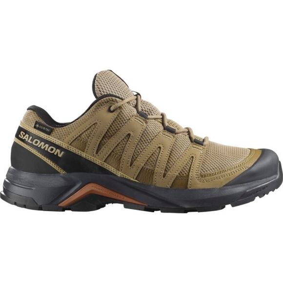 Neu Eingetroffen Salomon Herren Multifunktionsschuhe SHOES X-ADVENTURE RECON GTX - Seetang/Seetang/Sierra