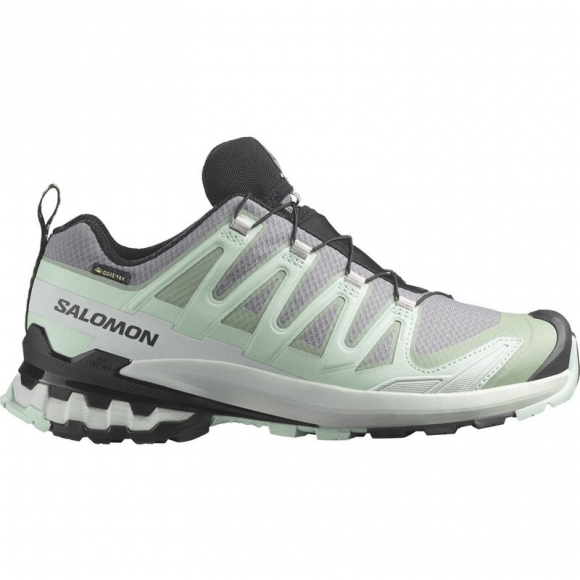 Neu Eingetroffen Salomon Damen Trailrunningschuhe SHOES XA PRO 3D V9 GTX W - Stiller Schatten/Seerosenblatt/Blauer Nebel