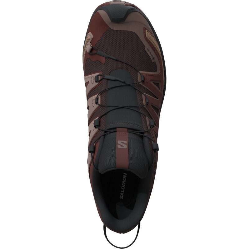 Neu Eingetroffen Salomon Herren Trailrunningschuhe SHOES XA PRO 3D V9 GTX - Schwarzer Kaffee/Rumrosine/Olivennacht