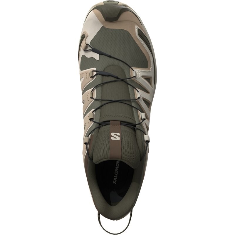 Neu Eingetroffen Salomon Herren Trailrunningschuhe SHOES XA PRO 3D V9 - Tiefes Flechtengrün/Safari/Dunkle Erde