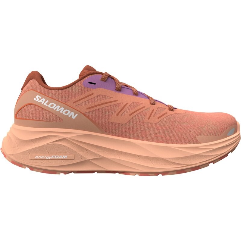 Neu Eingetroffen Salomon Damen Laufschuhe SHOES AERO GLIDE 2 W - Gewürzroute/Pfirsichquarz/Frischer Lachs