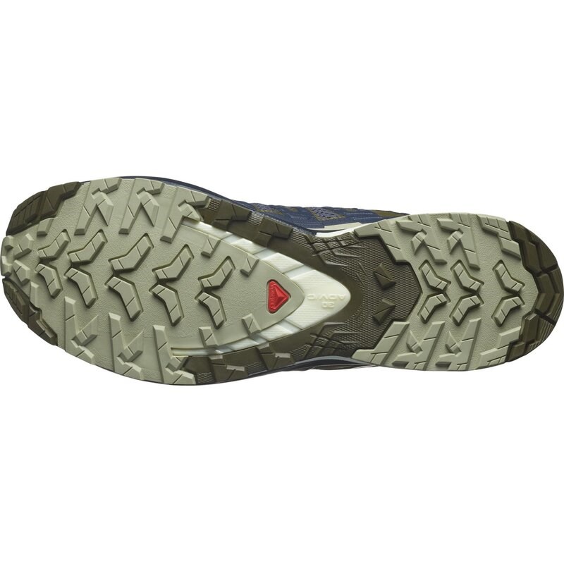 Neu Eingetroffen Salomon Herren Trailrunningschuhe SHOES XA PRO 3D V9 - Tusche/Olivennacht/Aloe Wash