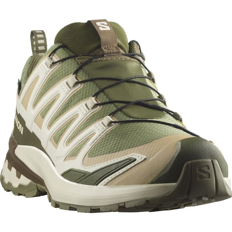 Neu Eingetroffen Salomon Herren Trailrunningschuhe SHOES XA PRO 3D V9 GTX - Tiefes Flechtengrün/Safari/Dunkle Erde