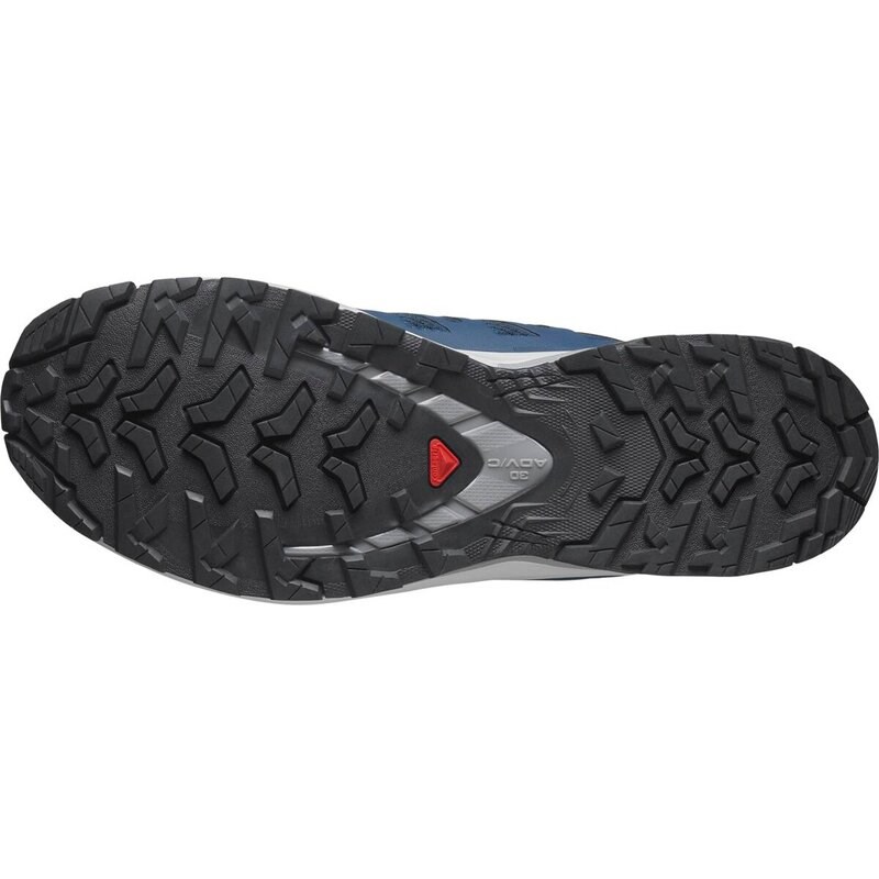 Neu Eingetroffen Salomon Herren Trailrunningschuhe SHOES XA PRO 3D V9 - Poseidon/Eiszapfen/Legierung