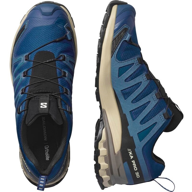 Neu Eingetroffen Salomon Herren Trailrunningschuhe SHOES XA PRO 3D V9 GTX - Poseidon/Weißer Pfeffer/Falke