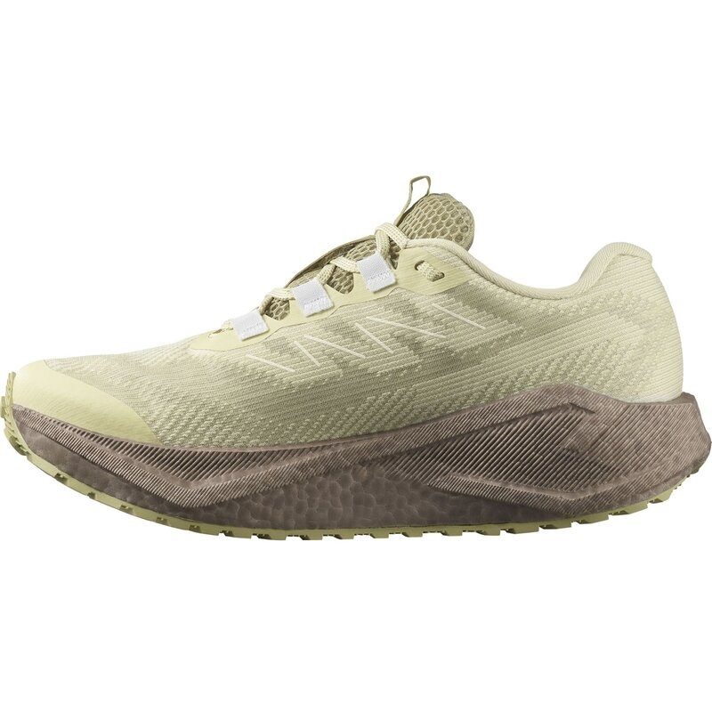 Neu Eingetroffen Salomon Damen Laufschuhe SHOES AERO BLAZE 3 GRVL GTX W - Grüner Nebel/Eisen/Eisfluss