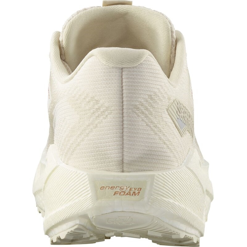 Neu Eingetroffen Salomon Damen Laufschuhe SHOES AERO BLAZE 3 GRVL W - Vanilleeis/Vanilleeis/Mandelmilch