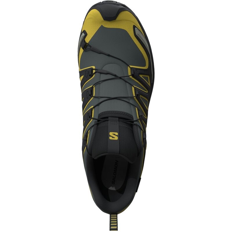 Neu Eingetroffen Salomon Herren Trailrunningschuhe SHOES XA PRO 3D V9 GTX - Urban Chic/Schwarz/Kressegrün