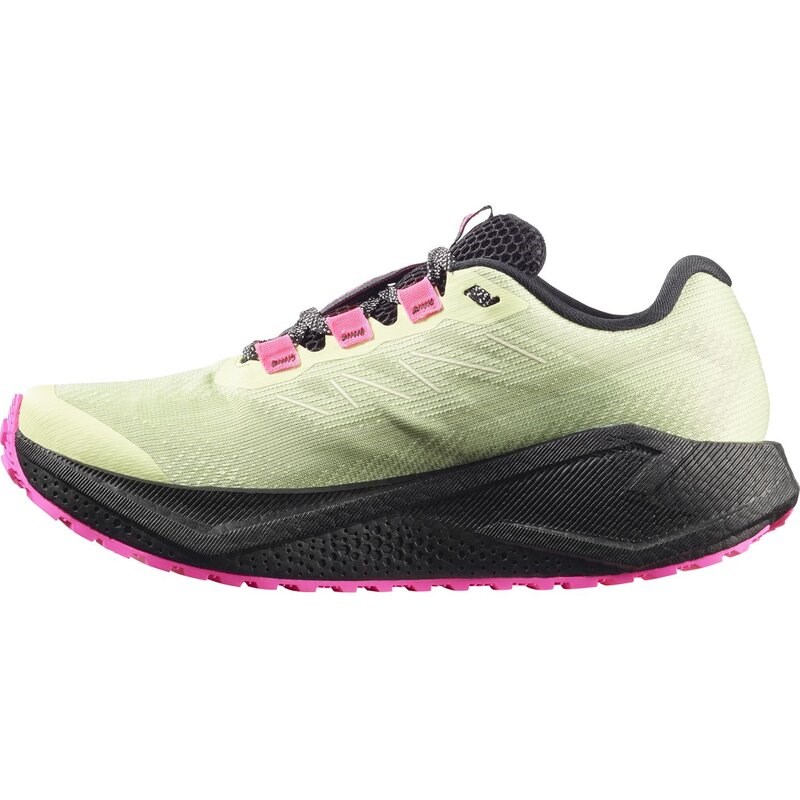 Neu Eingetroffen Salomon Damen Laufschuhe SHOES AERO BLAZE 3 GRVL GTX W - Schmetterling/Schwarz/Knockout-Pink