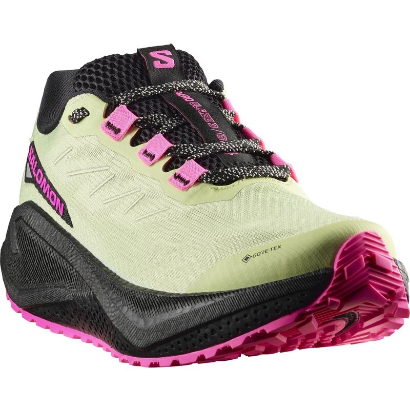 Neu Eingetroffen Salomon Damen Laufschuhe SHOES AERO BLAZE 3 GRVL GTX W - Schmetterling/Schwarz/Knockout-Pink