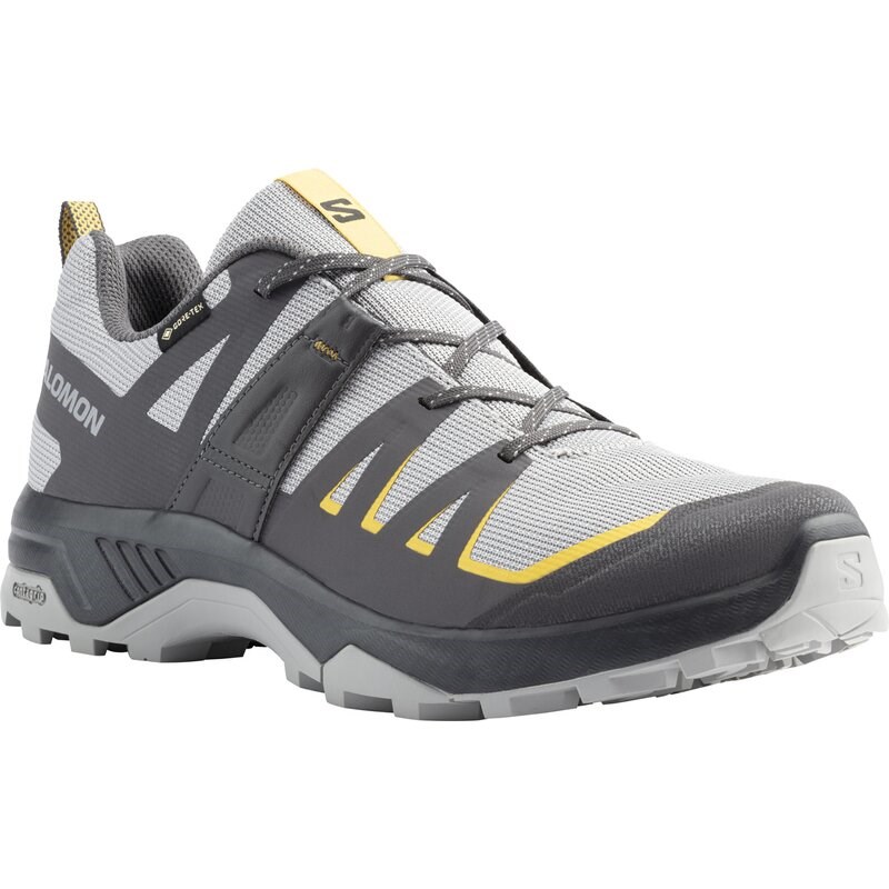 Neu Eingetroffen Salomon Herren Multifunktionsschuhe SHOES EXTEND GTX - Legierung/Asphalt/Scharfer Senf
