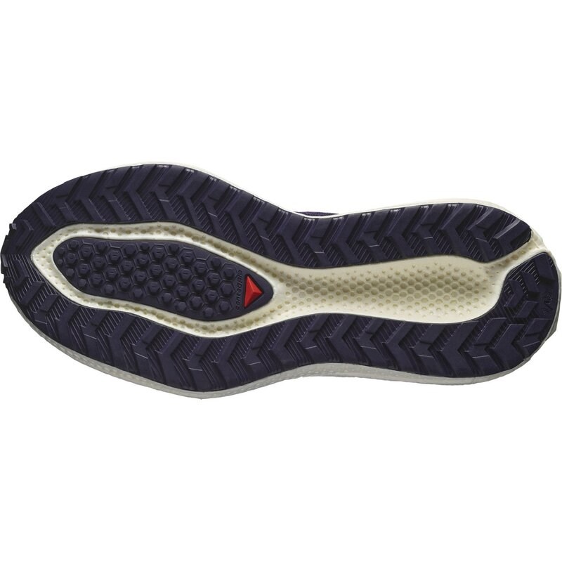 Neu Eingetroffen Salomon Damen Laufschuhe SHOES AERO GLIDE 3 GRVL W - Astrale Aura/Vanilleeis/Haute Red