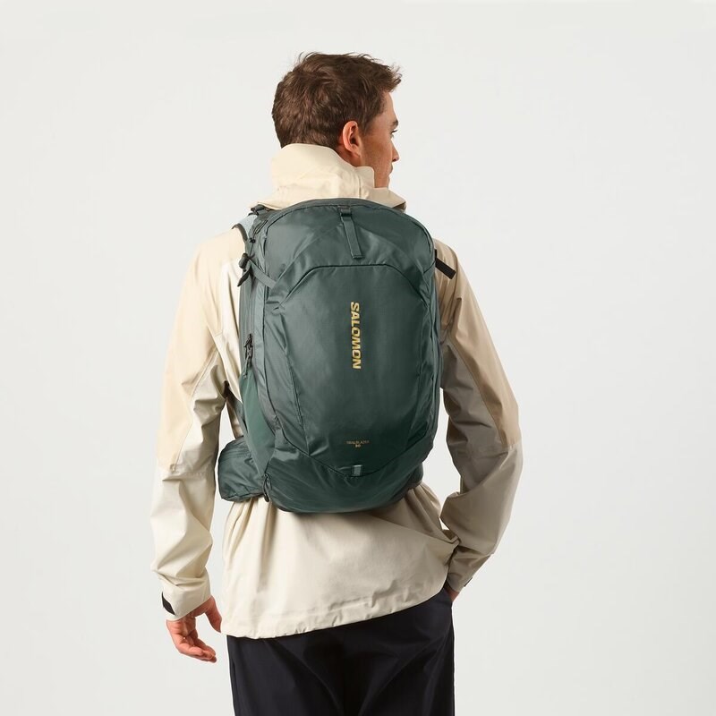 Neu Eingetroffen Salomon Kleintasche TRAILBLAZER 30 Urban - Urban Chic/Grünes Milieu