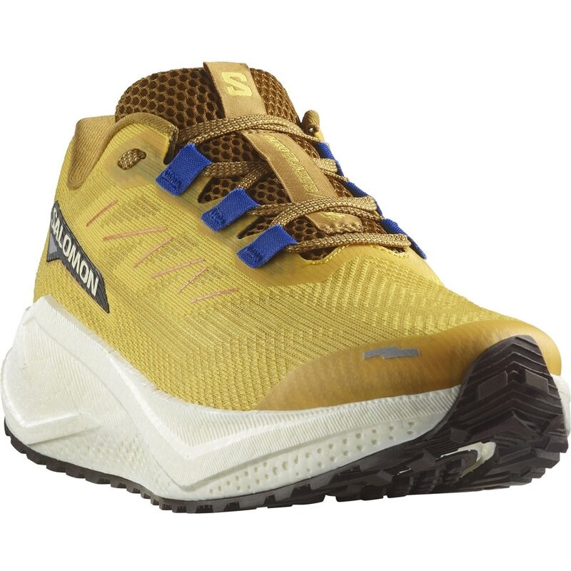 Neu Eingetroffen Salomon Herren Laufschuhe SHOES AERO BLAZE 3 GRVL - Scharfer Senf/Vanilleeis/Nautisch