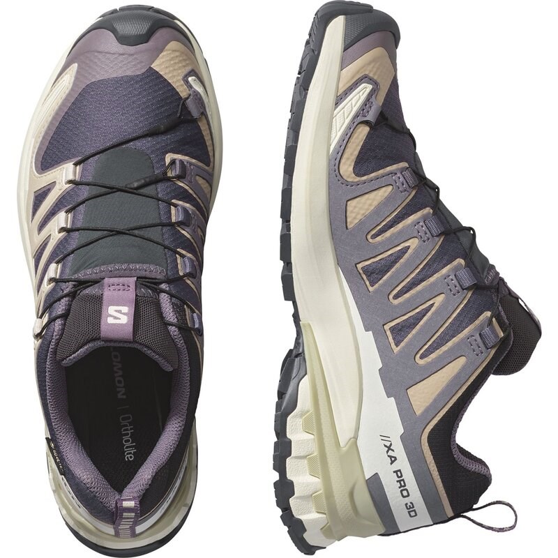 Neu Eingetroffen Salomon Damen Trailrunningschuhe SHOES XA PRO 3D V9 GTX W 9 - Neun Eisen/Oxford Tan/Luzerne