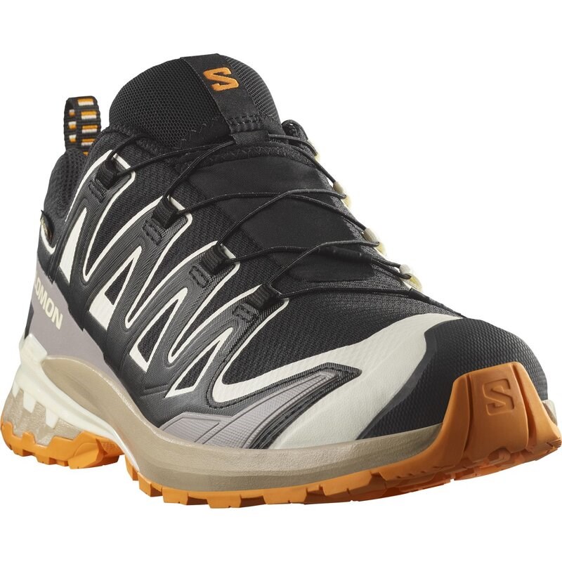 Neu Eingetroffen Salomon Herren Trailrunningschuhe SHOES XA PRO 3D V9 GTX - Schwarz/Vanilleeis/Kurkuma