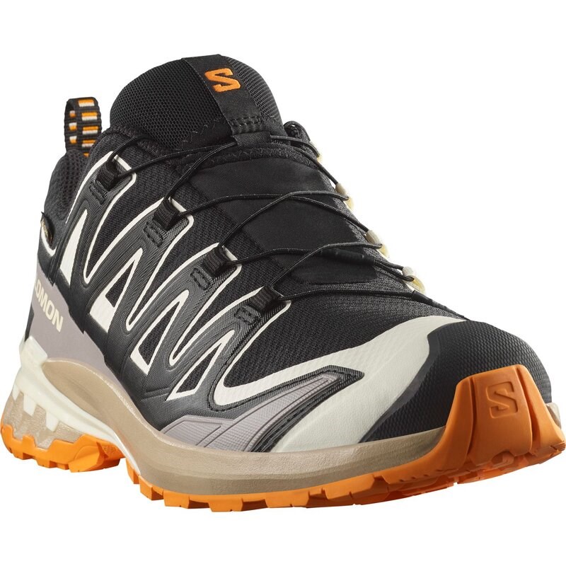 Neu Eingetroffen Salomon Herren Trailrunningschuhe SHOES XA PRO 3D V9 GTX - Schwarz/Vanilleeis/Kurkuma