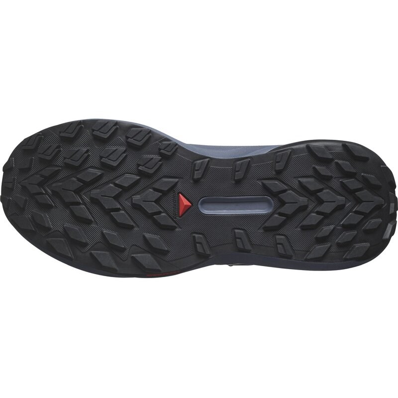 Neu Eingetroffen Salomon Damen Trailrunningschuhe SHOES GENESIS W - Carbon/Grisaille/Aloe Wash