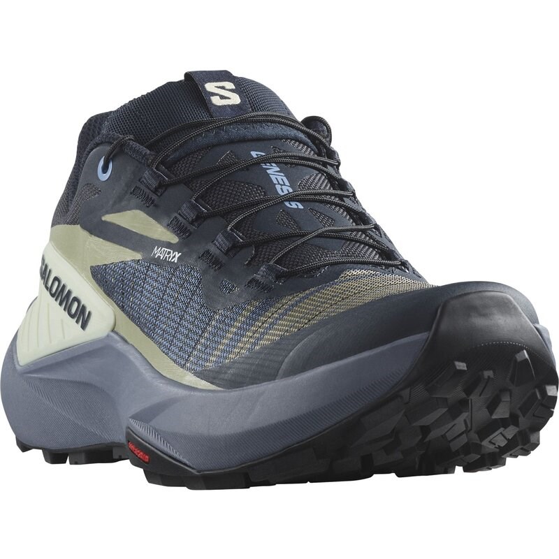 Neu Eingetroffen Salomon Damen Trailrunningschuhe SHOES GENESIS W - Carbon/Grisaille/Aloe Wash
