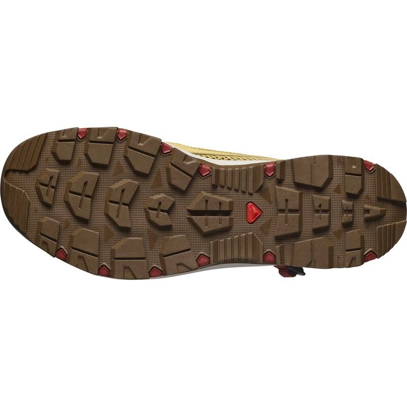 Neu Eingetroffen Salomon Herren Sandalen SHOES TECHAMPHIBIAN 5 - Antikgold/Regentag/Gebranntes Henna