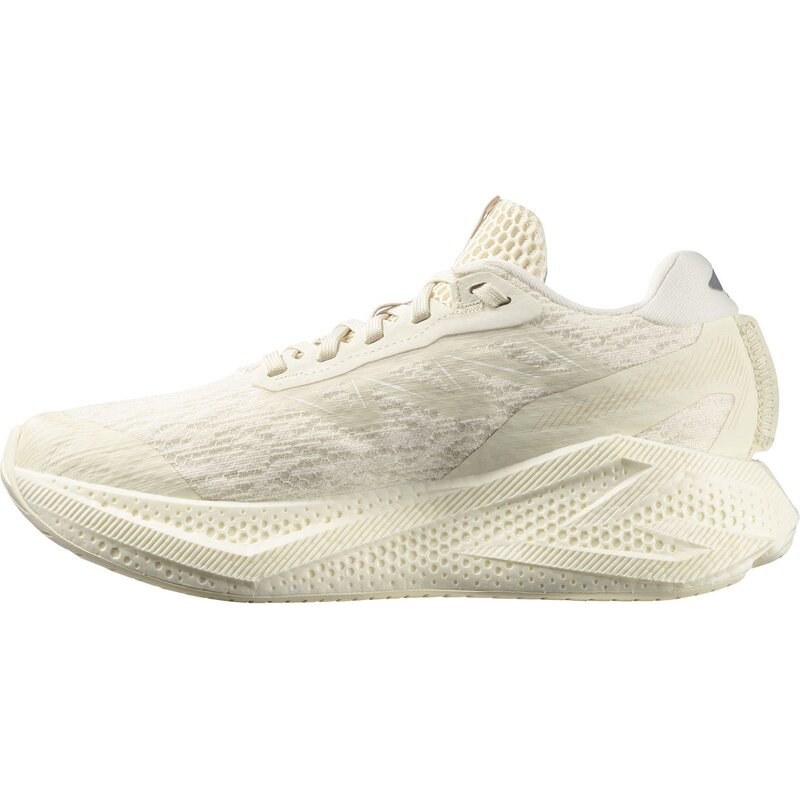 Neu Eingetroffen Salomon Damen Laufschuhe SHOES AERO GLIDE 4 W - Vanilleeis/Vanilleeis/Weiß