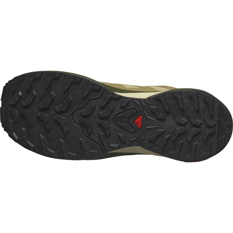 Neu Eingetroffen Salomon Herren Trailrunningschuhe SHOES X-ADVENTURE GTX - Schwamm/Grüner Nebel/Olive Night