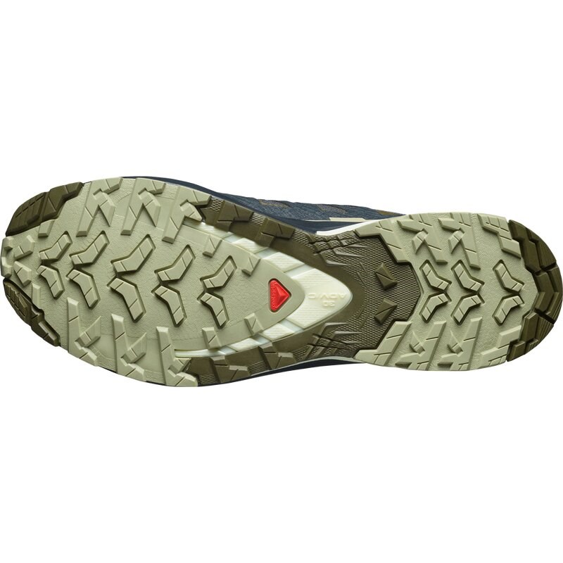 Neu Eingetroffen Salomon Herren Trailrunningschuhe SHOES XA PRO 3D V9 GTX - Tinte/Olivennacht/Aloe Wash