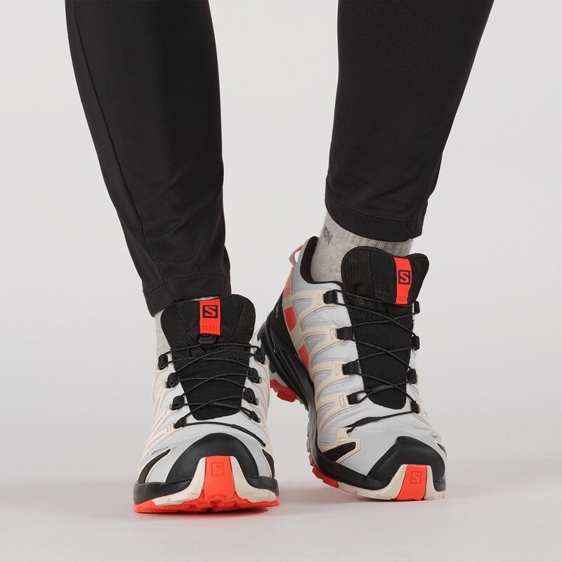 Neu Eingetroffen Salomon Damen Trailrunningschuhe SHOES XA PRO 3D v8 GTX W - Mondfelsen/Kirschtomate/Sonnenkuss