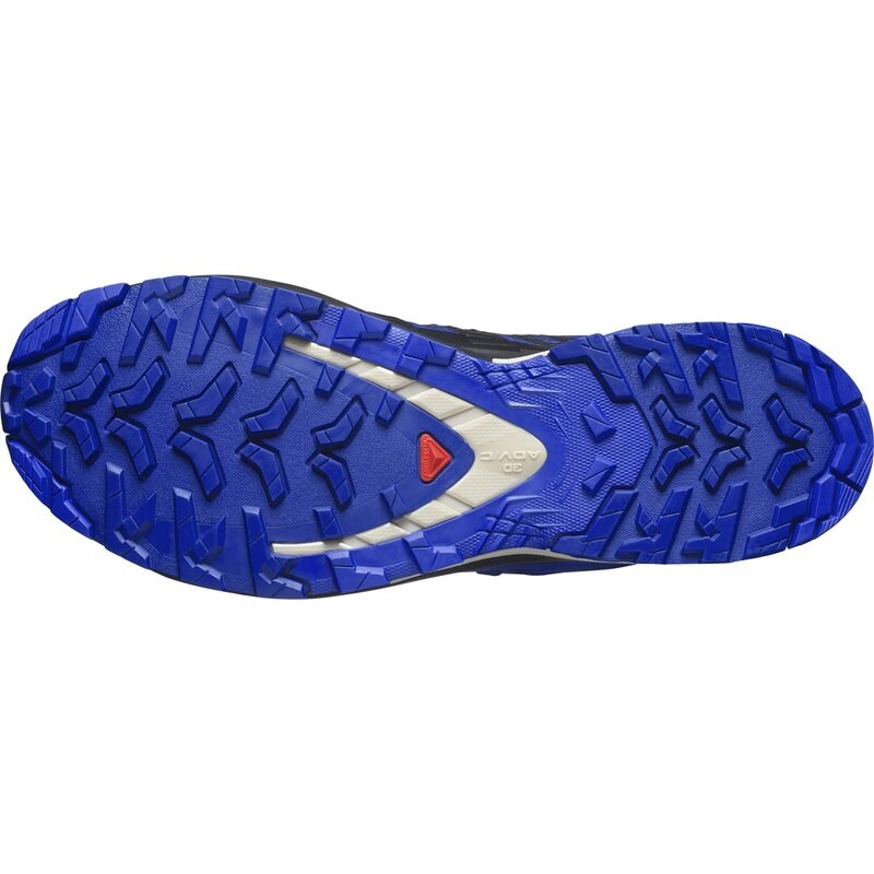 Neu Eingetroffen Salomon Herren Trailrunningschuhe SHOES XA PRO 3D V9 GTX - Blauer Druck/Surf the Web/Lapisblau