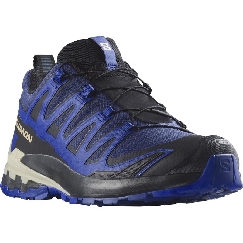 Neu Eingetroffen Salomon Herren Trailrunningschuhe SHOES XA PRO 3D V9 GTX - Blauer Druck/Surf the Web/Lapisblau