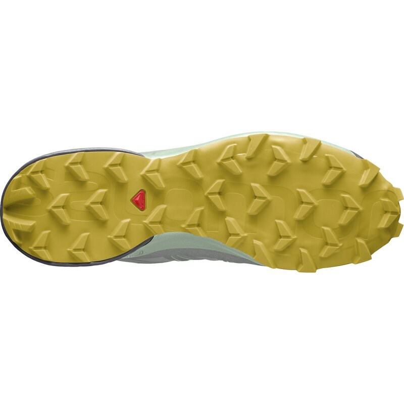 Neu Eingetroffen Salomon Damen Trailrunningschuhe SHOES SPEEDCROSS 5 GTX W Wrought - Schmiedeeisen/Spray/Antikes Moos