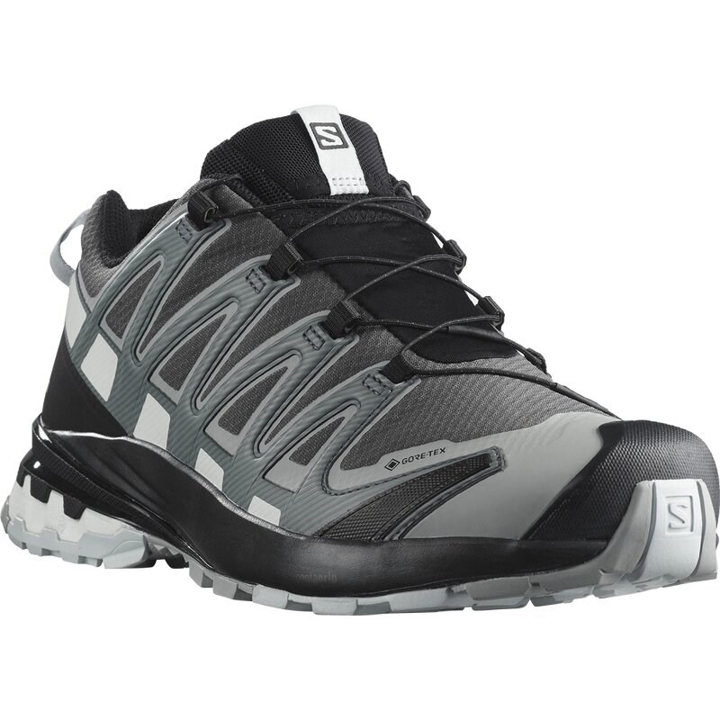 Neu Eingetroffen Salomon Herren Trailrunningschuhe SHOES XA PRO 3D v8 GTX - Magnet/Stürmisches Wetter/Weiß