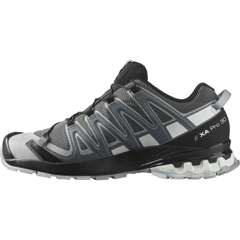 Neu Eingetroffen Salomon Herren Trailrunningschuhe SHOES XA PRO 3D v8 GTX - Magnet/Stürmisches Wetter/Weiß
