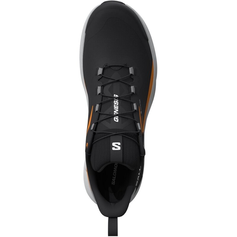 Neu Eingetroffen Salomon Herren Trailrunningschuhe SHOES GENESIS GTX - Schwarz/Kurkuma/LEGIERUNG