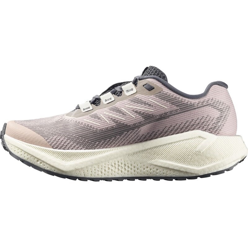 Neu Eingetroffen Salomon Damen Laufschuhe SHOES AERO BLAZE 3 GRVL W - Schattengrau/Vanilleeis/Neun Eisen