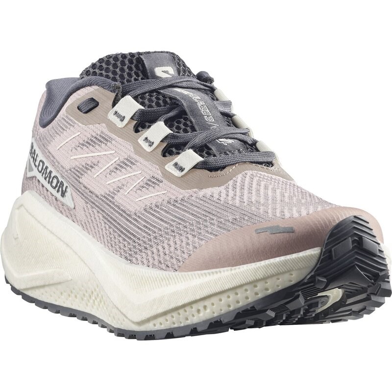 Neu Eingetroffen Salomon Damen Laufschuhe SHOES AERO BLAZE 3 GRVL W - Schattengrau/Vanilleeis/Neun Eisen