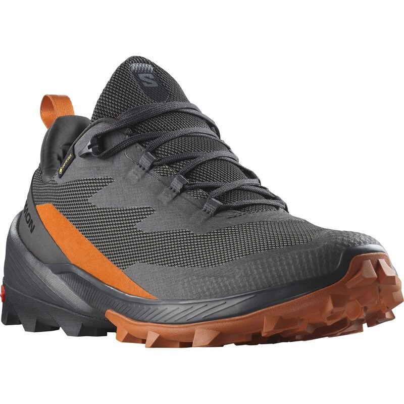 Neu Eingetroffen Salomon Herren Multifunktionsschuhe SHOES CROSS OVER 2 GTX - Magnet/Phantom/Gewürzstraße