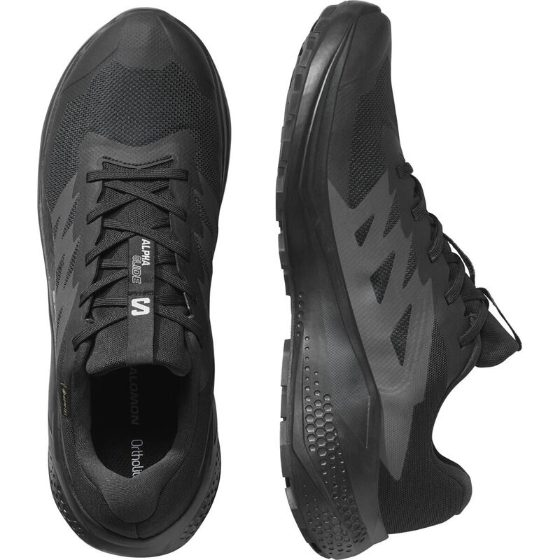Neu Eingetroffen Salomon Herren Trailrunningschuhe SHOES ALPHAGLIDE GTX - Schwarz/Asphalt/Schwarz