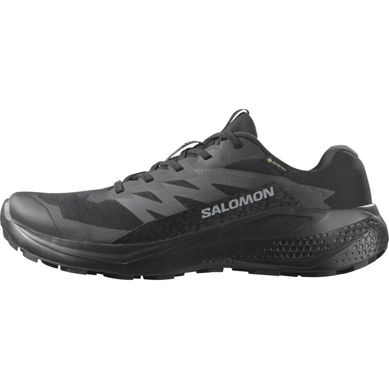 Neu Eingetroffen Salomon Herren Trailrunningschuhe SHOES ALPHAGLIDE GTX - Schwarz/Asphalt/Schwarz