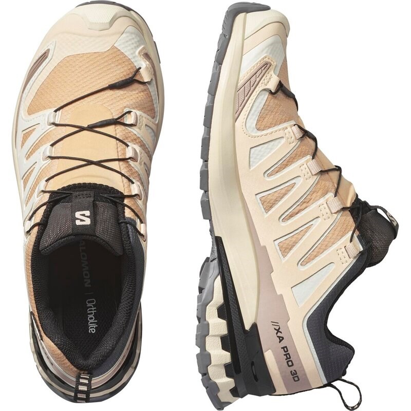 Neu Eingetroffen Salomon Damen Trailrunningschuhe SHOES XA PRO 3D V9 GTX W - Haselnuss/Zarter Pfirsich/Schwarz