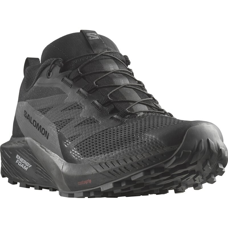 Neu Eingetroffen Salomon Herren Trailrunningschuhe SHOES SENSE RIDE 5 GTX - Schwarz/Magnet/Schwarz