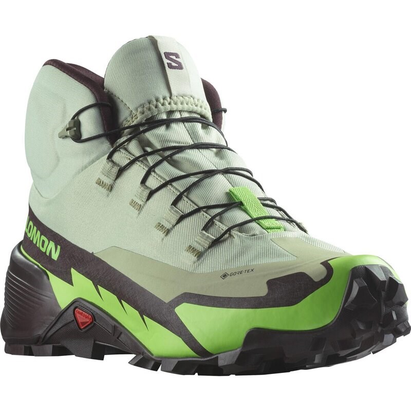 Neu Eingetroffen Salomon Herren Multifunktionsstiefel SHOES CROSS HIKE MID GTX 2 - Wüstensalbei/Grüner Gecko/Schokolade P