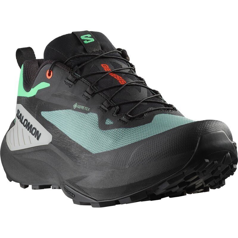 Neu Eingetroffen Salomon Herren Trailrunningschuhe SHOES GENESIS GTX - Nordatlantik/Schwarz/Haifischhaut