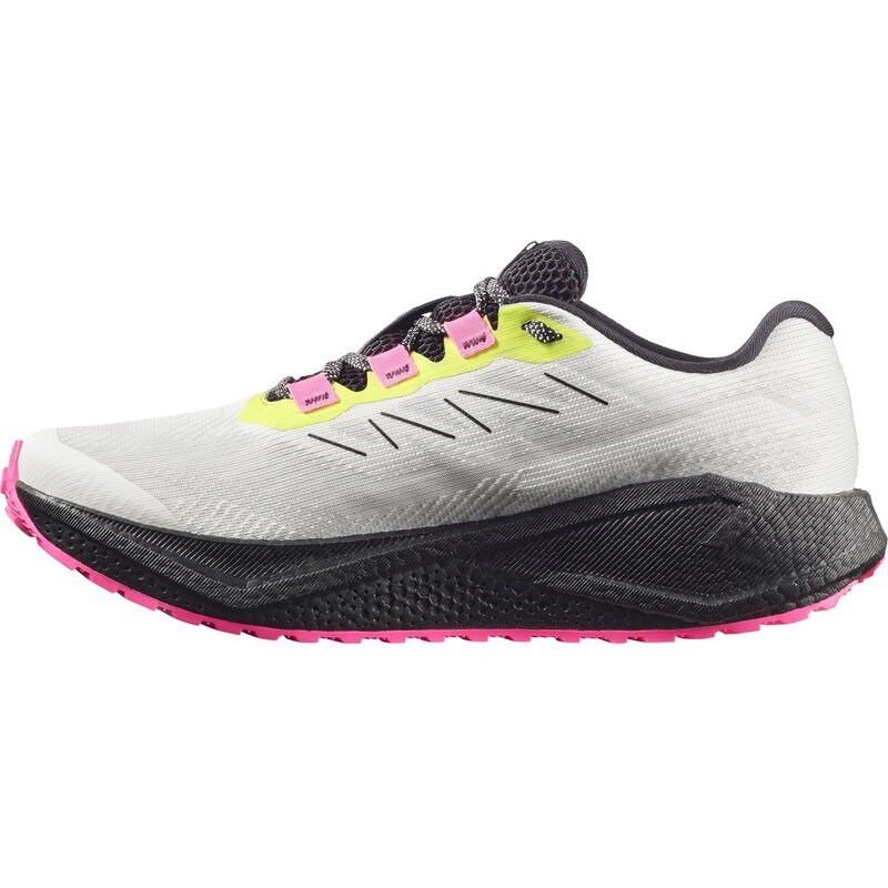 Neu Eingetroffen Salomon Herren Laufschuhe SHOES AERO BLAZE 3 GRVL GTX - Vanilleeis/Schwarz/Ojos del Salar